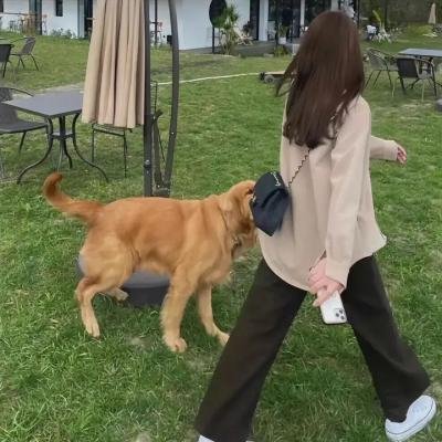 来自火星的恶魔女孩