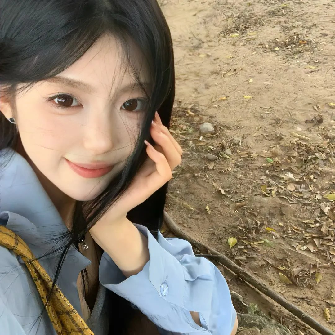海葵