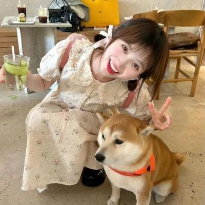 总之就是非常可爱第二季